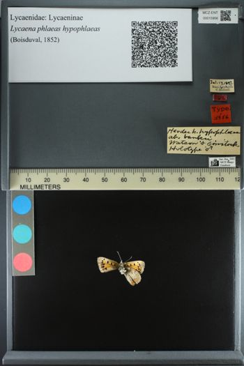 Media type: image;   Entomology 15956